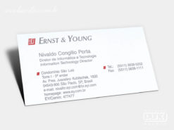 Cartão de Visita Ernst & Young
