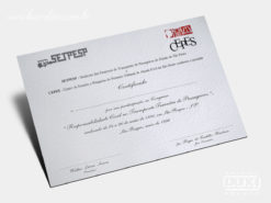 Diploma Certificado Setpesp